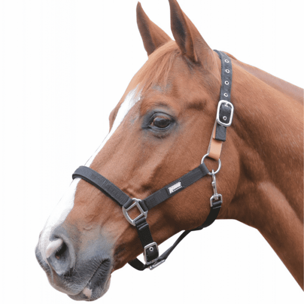 roma breakaway headcollar ii black 4