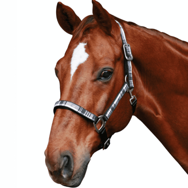 roma check headcollar black white 1 1