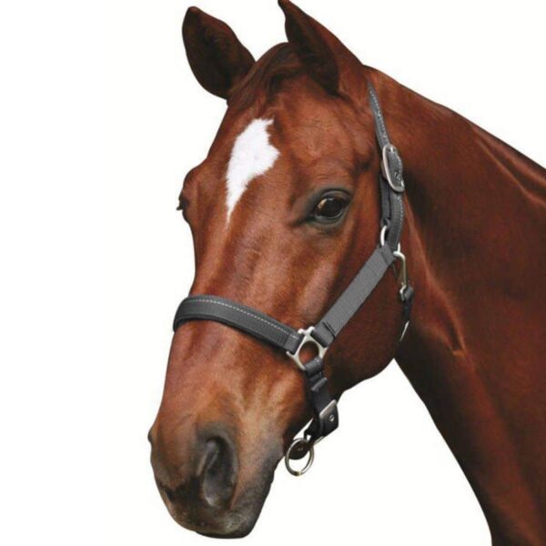 roma supreme headcollar charcoal 3