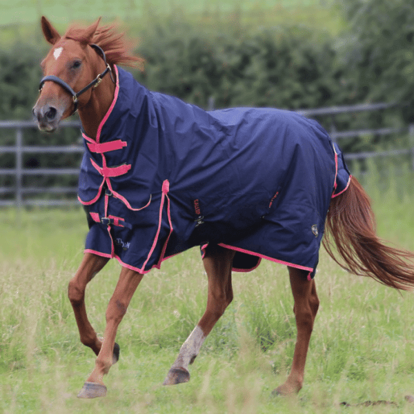 Trojan Navy and Pink Turnout Combo Neck