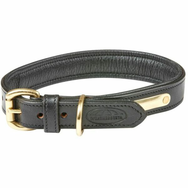 wb padded leather collar1 e1621075265615 1