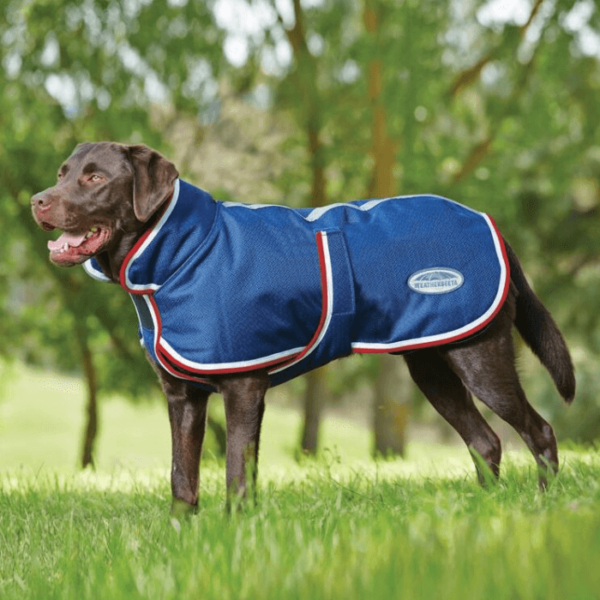 weatherbeeta parka 1200d deluxe dog coat 7