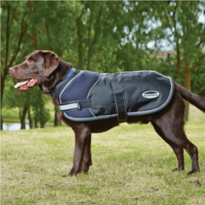 mark todd dog coat