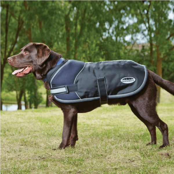 weatherbeeta parka 1680d dog rug side