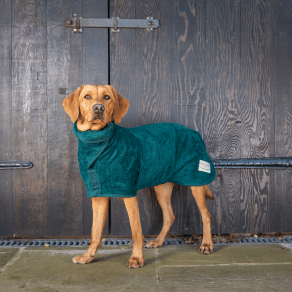 Copy of Ruff and Tumble Bottle Green Dog Drying Coat