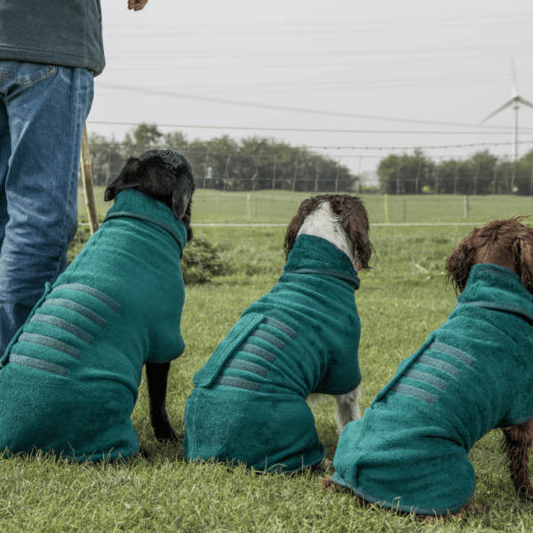 Ruff and Tumble Bottle Green Dog Coat Countryside