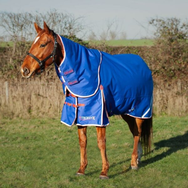 Trojan Xtra 200g Turnout Rug Blue