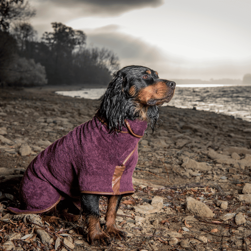 Rough and shop tumble dog coat