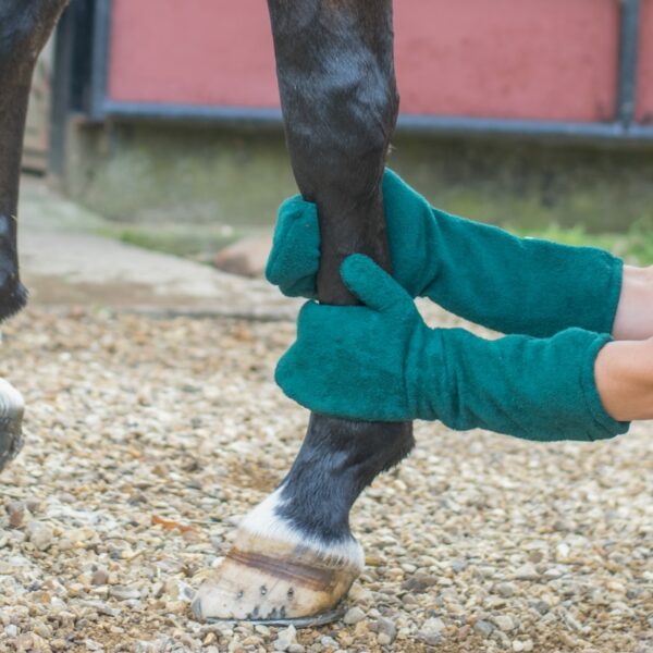 Ruff and Tumble Drying Mitts