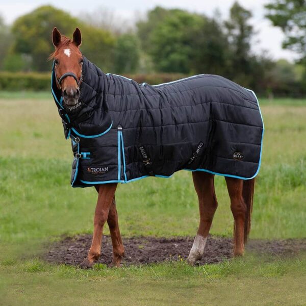 Trojan Stable Rug