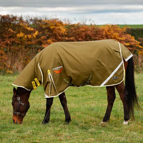 Toofan 200 Turnout Rug Olive Yellow