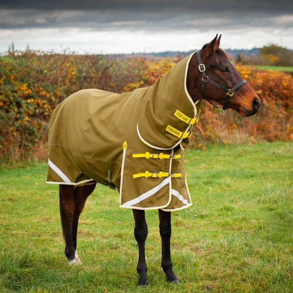 Toofan 200 Turnout Rug Olive Yellow