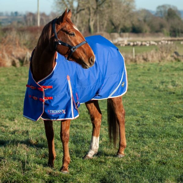 Trojan Xtra Dual Turnout Rug Detached Neck Hood