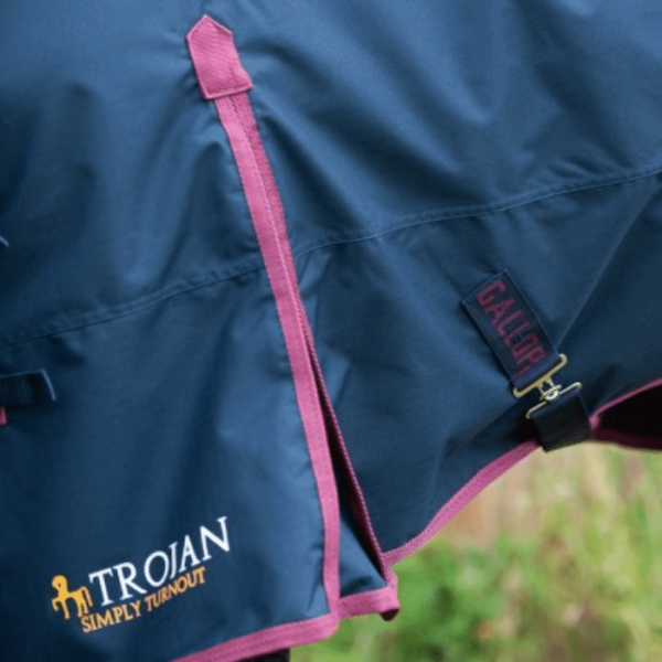 Trojan Turnout Rug Close Up