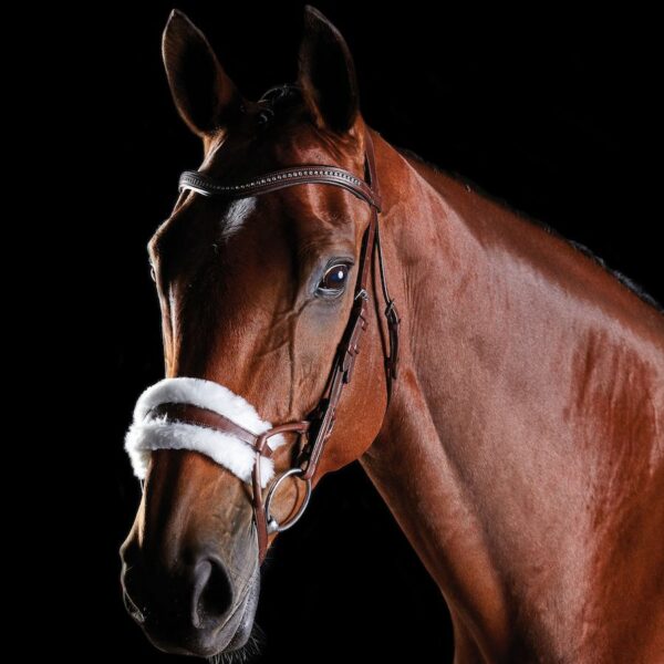 Collegiate Sheepskin Bridle Brown