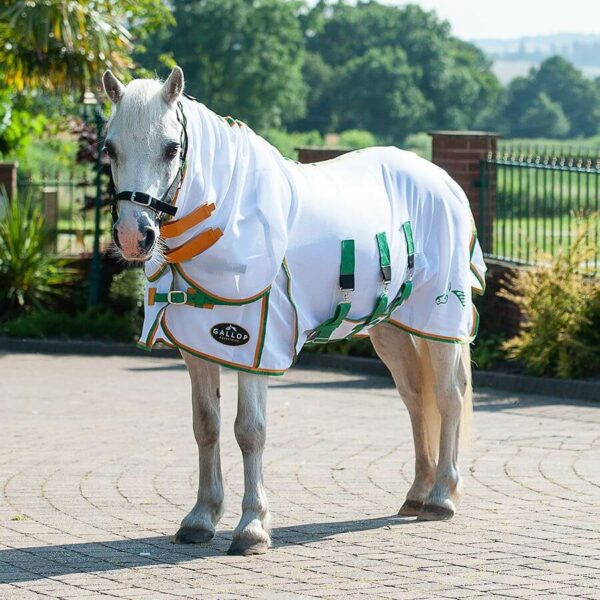 Gallop Fly Mesh Combo Rug White