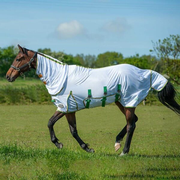 Gallop Fly Mesh Combo Rug White