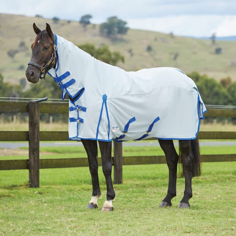 Horse Rugs For Sale Equine Superstore