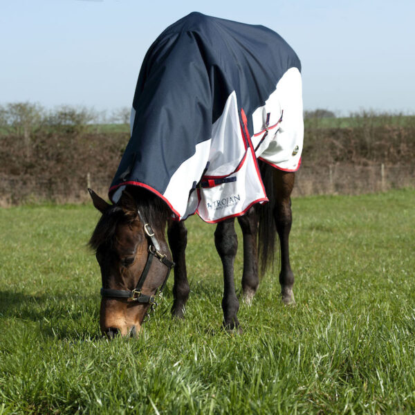 Gallop Equestrian Trojan Fly Turnout