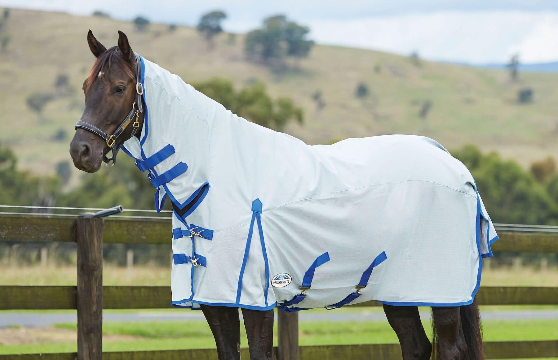 wb-fly-rug Fly Rugs